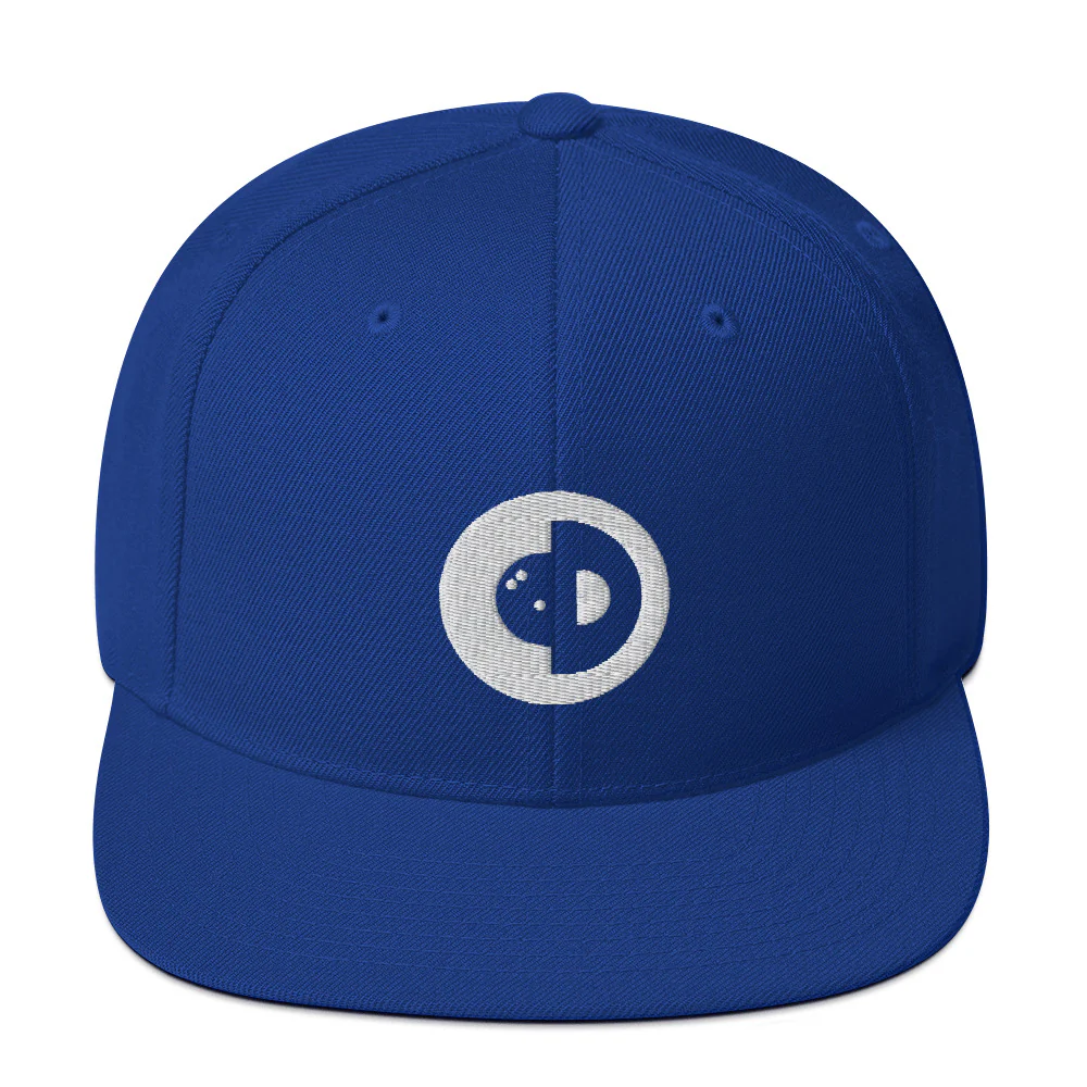 Snapback Hat - CtD Logo - Image 5